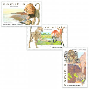 Large Felines of Namibia Single Set