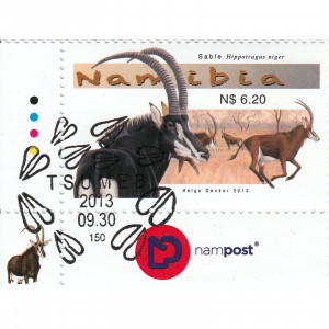 Large Antelopes of Namibia