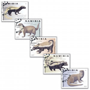 Mustelids of Namibia S/S( c)