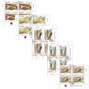 Woodpeckers of Namibia Control Block