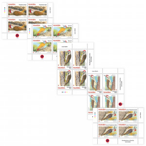 Woodpeckers of Namibia Control Block