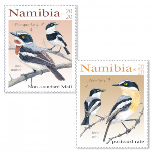 batises of namibia Single Set