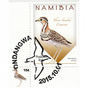 Courses of Namibia Single Set