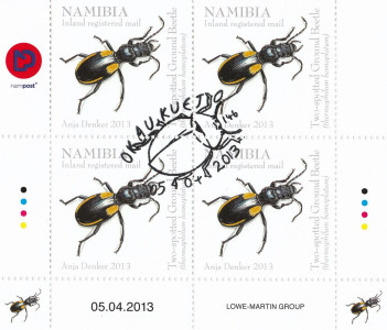 Beetles of Namibia