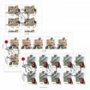 Barbets of Namibia Full Sheet