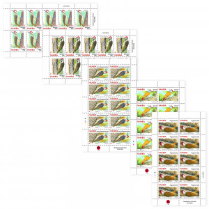 woodpeckers of namibia Full Sheet