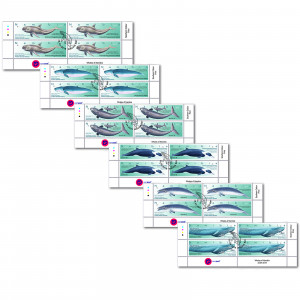 Whales of Namibia Control Block