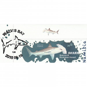 Sharks of Namibia Single Set