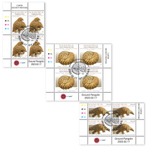 Pangolin Control Block