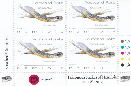 Snakes of Namibia