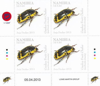 Beetles of Namibia