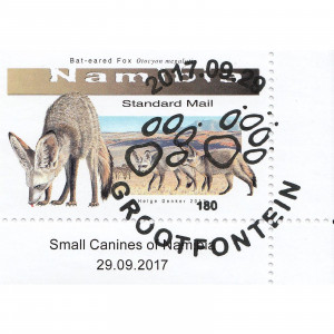 Small Canines of Namibia Single Set