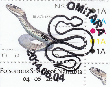 Snakes of Namibia