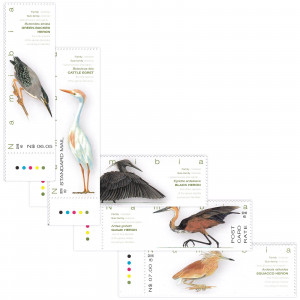 Herons of Namibia Single Set