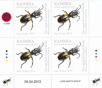 Beetles of Namibia