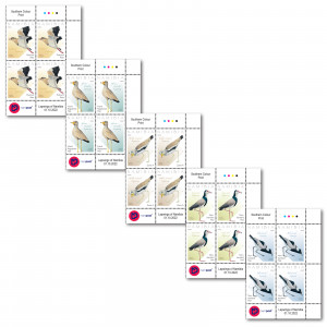 Lapwings Control Block