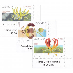 Flame Lilies of Namibia Single Set