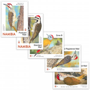 woodpeckers of namibia Single Set