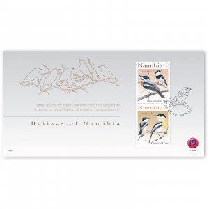 batises of namibia FDC