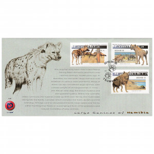 Large Canines FDC