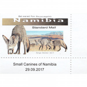 Small Canines of Namibia Single Set