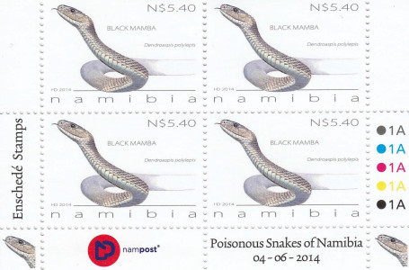 Snakes of Namibia