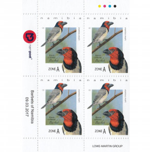 Barbets of Namibia Control Block