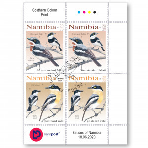 batises of namibia Control Block