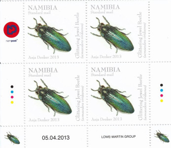 Beetles of Namibia