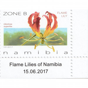 Flame Lilies of Namibia Single Set