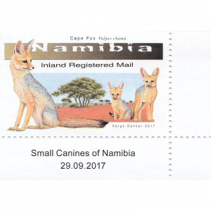 Small Canines of Namibia Single Set