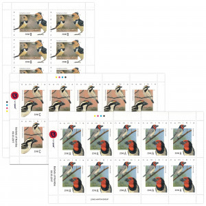 Barbets of Namibia Full Sheet