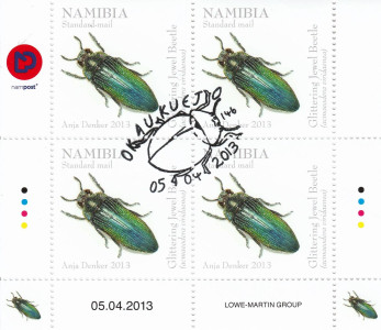 Beetles of Namibia