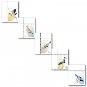 Lapwings Single Set