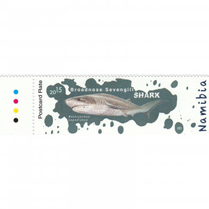 Sharks of Namibia Single Set
