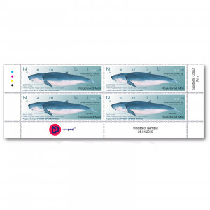 Reprint  Whales of Namibia