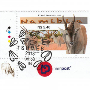 Large Antelopes of Namibia