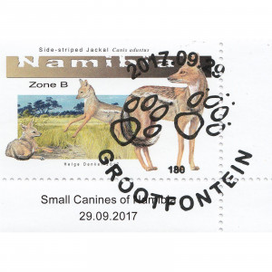 Small Canines of Namibia Single Set