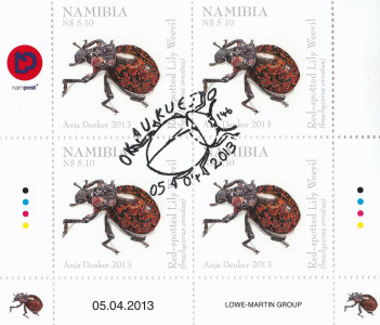 Beetles of Namibia