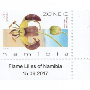 Flame Lilies of Namibia Single Set