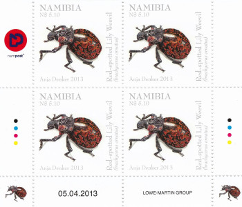 Beetles of Namibia