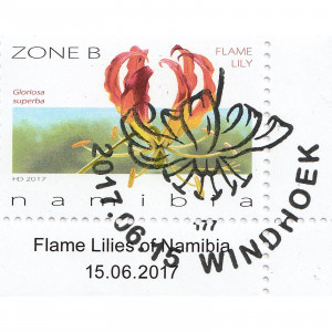 Flame Lilies of Namibia Single Set