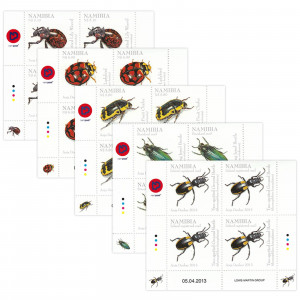 Beetles of Namibia