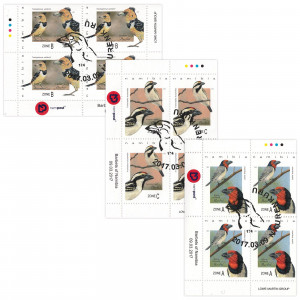 Barbets of Namibia Control Block