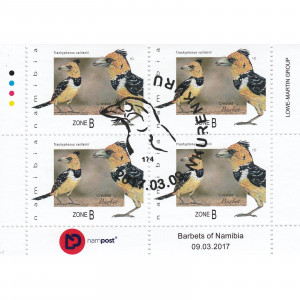 Barbets of Namibia Control Block