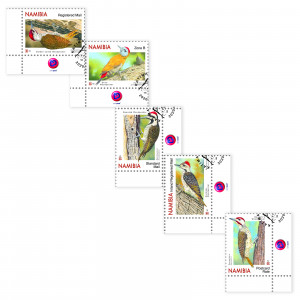 woodpeckers of namibia Single Set