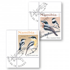 batises of namibia Single Set