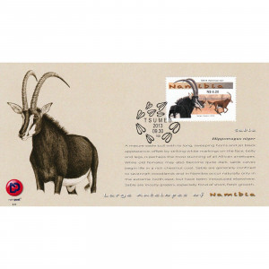 Large Antelopes of Namibia