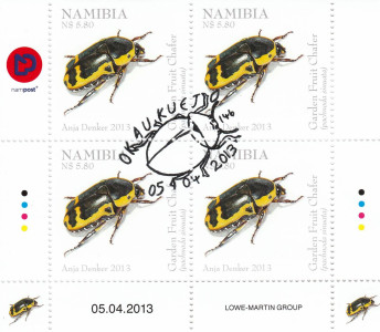 Beetles of Namibia