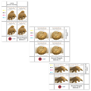 Pangolin Control Block